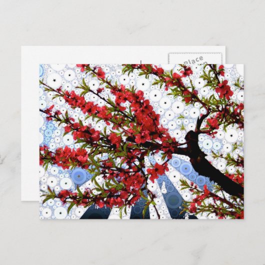 Raspberry en Briefkaart van de Blossom van Cream (Voorkant / Achterkant)