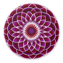 Raspberry en Paarse Dahlia