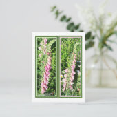 RASPBERRY FOXGLOVE BLADWIJZER BRIEFKAART (Staand voorkant)