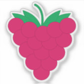 Raspberry Fruit Berry Pink Sticker (Voorkant)