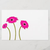Raspberry Gerber Daisy (Voorkant)