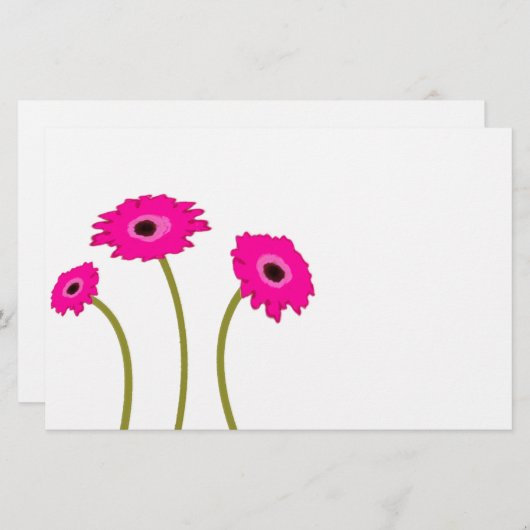 Raspberry Gerber Daisy (Voorkant / Achterkant)