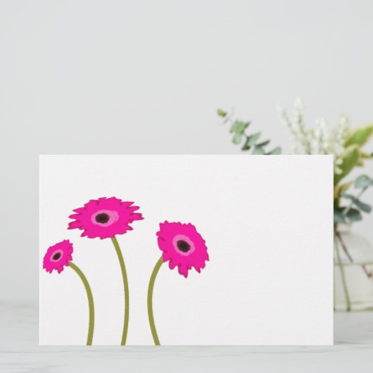 Raspberry Gerber Daisy (Staand voorkant)