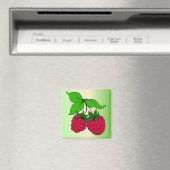 Raspberry Magnet (Insitu (Vaatwasser))