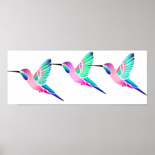 Raspberry Mint Sorbet Hummingbird Poster