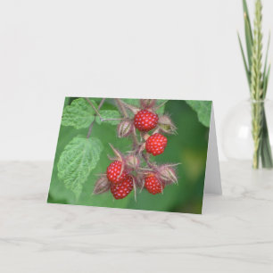 Raspberry Notecard Kaart