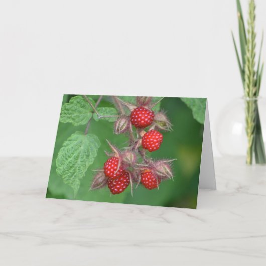 Raspberry Notecard Kaart (Voorkant)