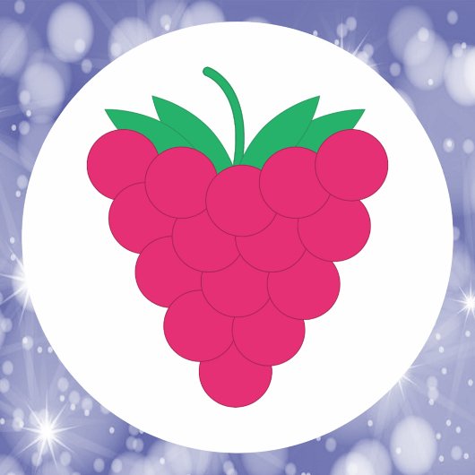 Raspberry Pink Fruit Berry Ronde Sticker