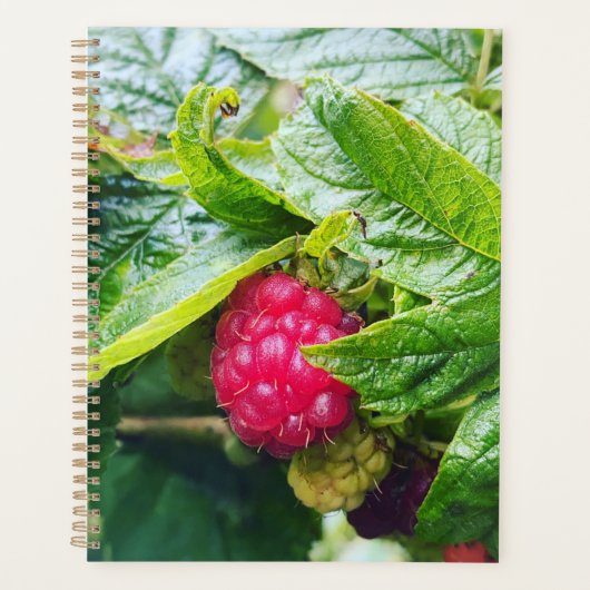 Raspberry Planner (Voorkant)