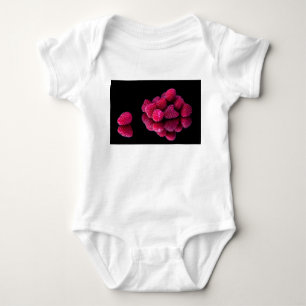 Raspberry still Life Romper