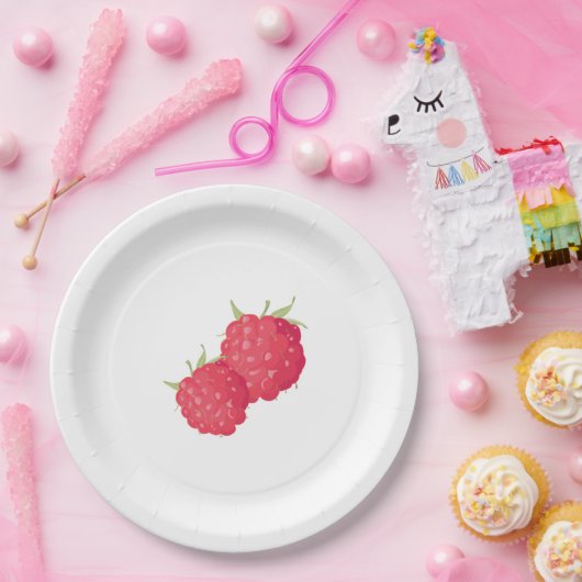 Rasperry Papieren Bordje (Feest)
