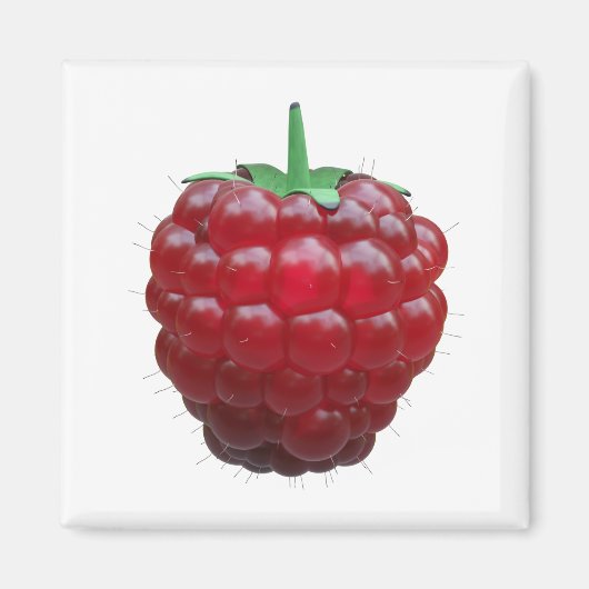 Raspiberry Magneet (Voorkant)