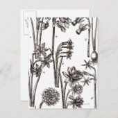 Rassen van Jonquils Briefkaart (Voorkant / Achterkant)