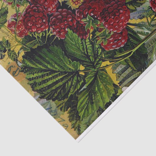  rassenlijst voor frambozen tissuepapier (Detail)