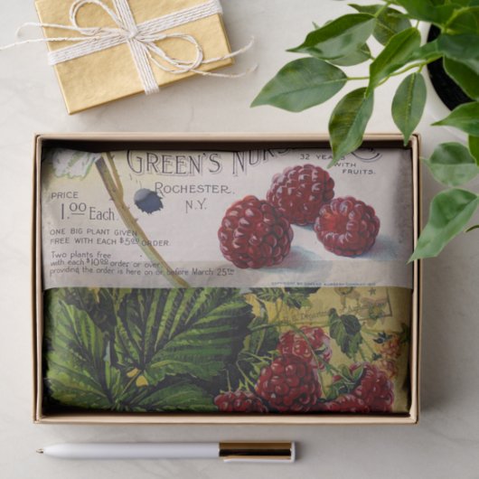  rassenlijst voor frambozen tissuepapier (Geschenk)