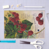  rassenlijst voor frambozen tissuepapier (Craft)