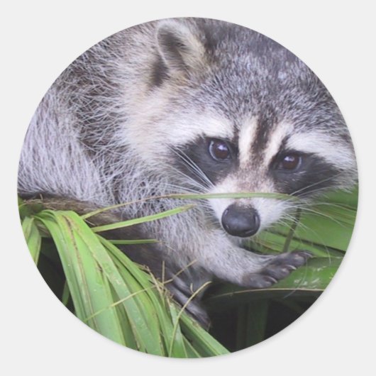 Rassie in de Planten Ronde Sticker (Voorkant)