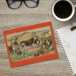 Rasspoor Ephemera Briefkaart