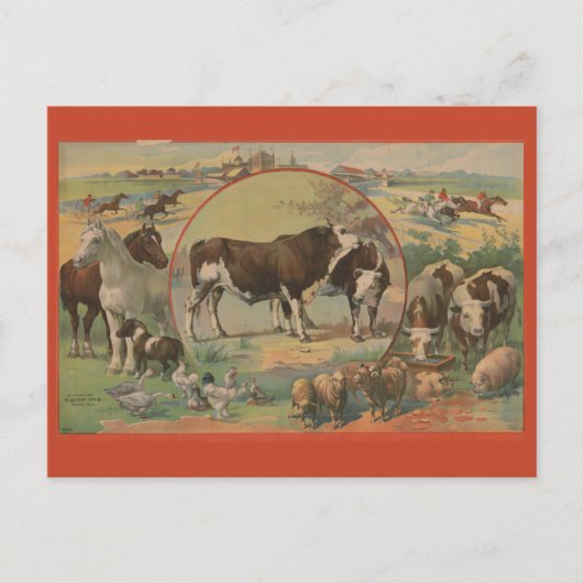 Rasspoor Ephemera Briefkaart (Voorkant)