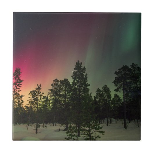 Rasta Borealis Tegeltje (Voorkant)
