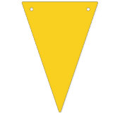 Rasta Bunting Decorate Reggae Party Festival Vlaggetjes (Eerste vlag)