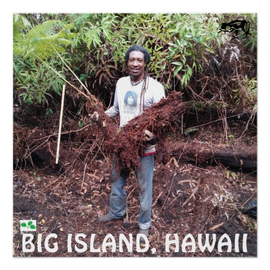 RASTA FARMER MET HAPUU FERN PERFECT POSTER (Voorkant)