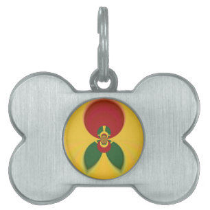 Rasta Kleuren Abstracte Art Print Huisdieren Naamplaatje