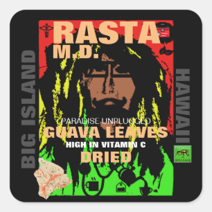 RASTA M.D. DRIED GUAVA LEAVES VIERKANTE STICKER