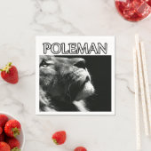 Rasta poleman party leeuw servet (Insitu)