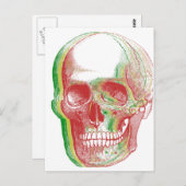 Rasta Skull Briefkaart (Voorkant / Achterkant)