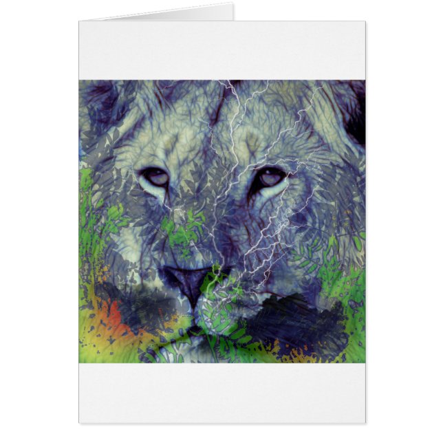 Rastadream (Voorkant)