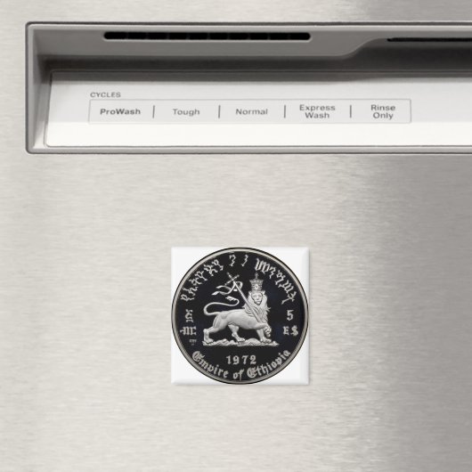 RASTAFARI MAGNEET (Insitu (Vaatwasser))