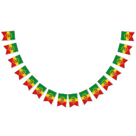 Rastafari Rasta Reggae Levensstijl Jamaica Jah Roo Vlaggetjes