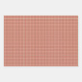 Raster-omlooppapier in Blush Inpakpapier Vel (Voorkant 3)