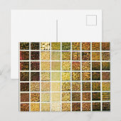 Raster van zaden - 1912  kleurenfototoestel briefkaart (Voorkant / Achterkant)