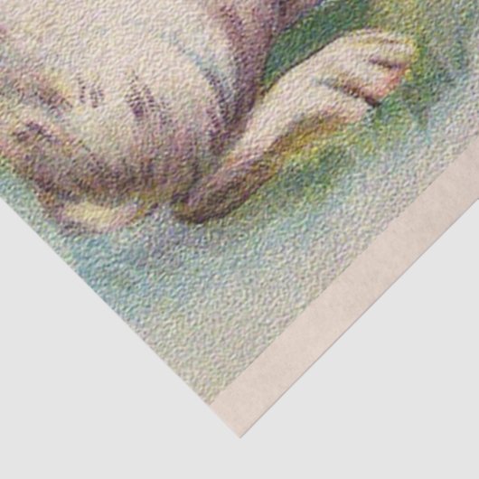 rasterooienholiday tissuepapier (Detail)