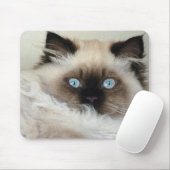 Raszuiver Birman Fluffy Cat Mousepad Muismat (Met muis)