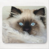 Raszuiver Birman Fluffy Cat Mousepad Muismat (Voorkant)