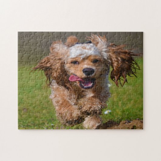 Raszuivere Cocker Spaniels. Legpuzzel (Horizontaal)
