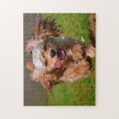 Raszuivere Cocker Spaniels. Legpuzzel (Verticaal)