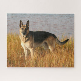Raszuivere Duitse herder II Legpuzzel