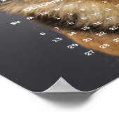 Raszuivere Duitse Herdershond Foto 2024 Agenda Poster (Hoek)