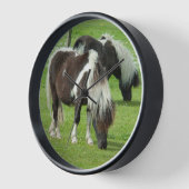 Raszuivere Shetland Paint Ponies (Hoek)