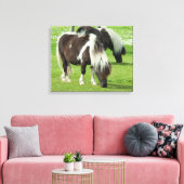 Raszuivere Shetland Paint Ponies Canvas Afdruk (Insitu (Woonkamer))