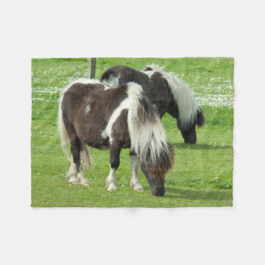 Raszuivere Shetland Paint Ponies Fleece Deken (Voorkant (Horizontaal))