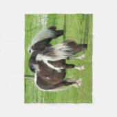 Raszuivere Shetland Paint Ponies Fleece Deken (Voorkant)