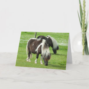 Raszuivere Shetland Paint Ponies Kaart