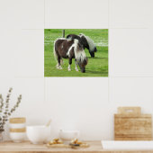 Raszuivere Shetland Paint Pony's Poster (Keuken)
