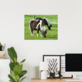 Raszuivere Shetland Paint Pony's Poster (Thuiskantoor)