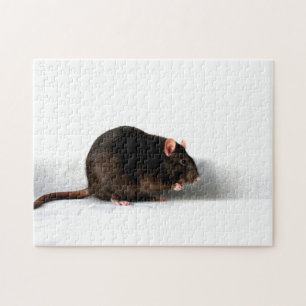 Rat 11x14 252 pc jpcna legpuzzel